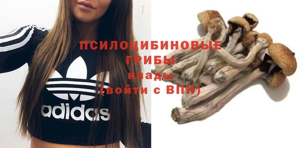 твердый Михайловск