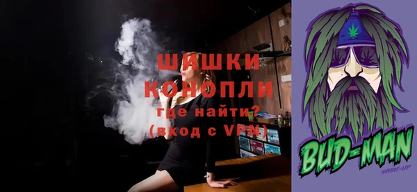 мдпв Михайлов