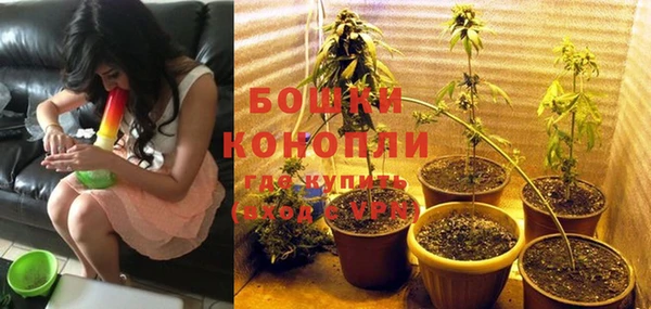 твердый Михайловск