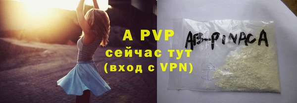 apvp Богданович