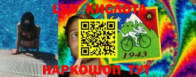 ешки Волгодонск