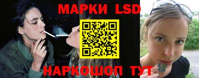 ешки Волгодонск