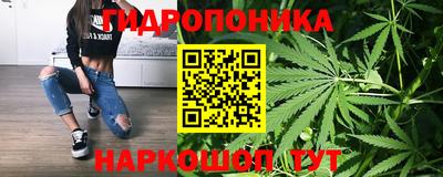 ешки Волгодонск