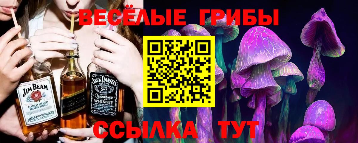 Галлюциногенные грибы Cubensis  Вход с VPN  Курган  Галлюциногенные грибы Cubensis 