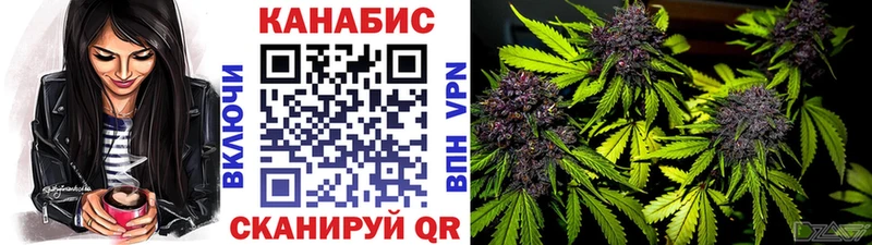 Марихуана SATIVA & INDICA  Курган 