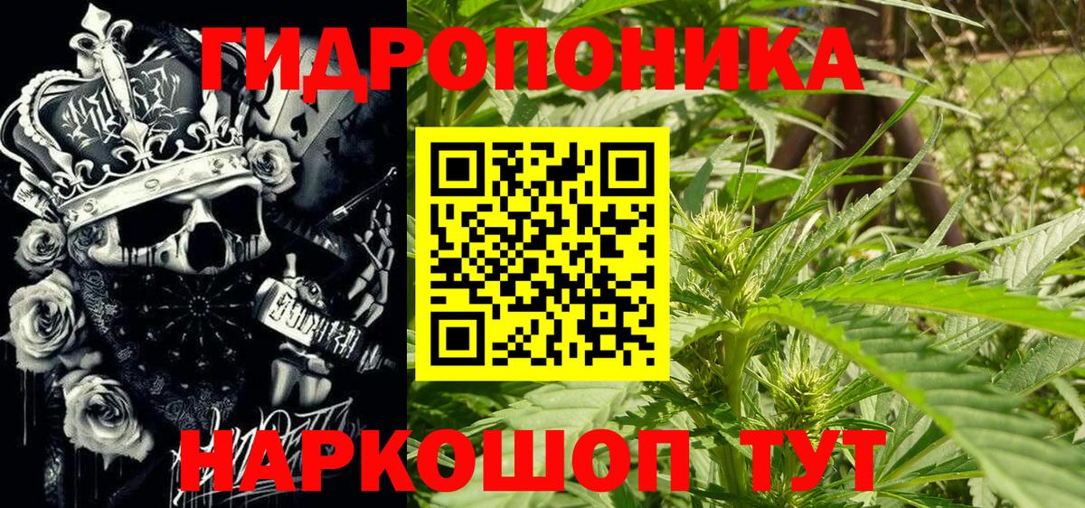 Конопля план Курган